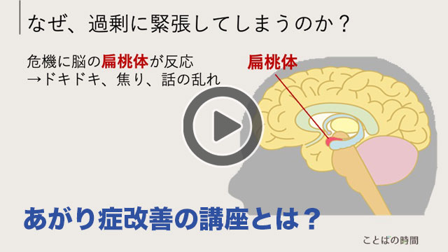 入門編の内容を事前にご覧頂けます。